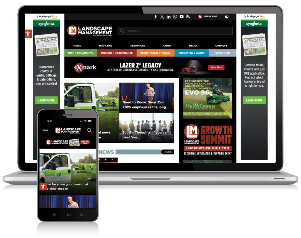 Website Advertising
