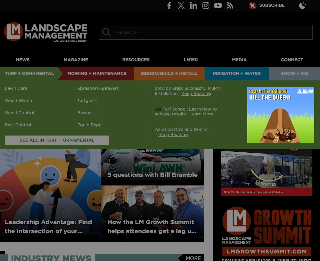 Rectangle category ad example
