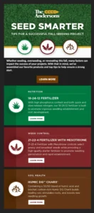 E-blast example