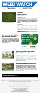 E-newsletter example
