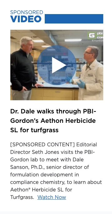Example of a sponsored video displayed on the homepage