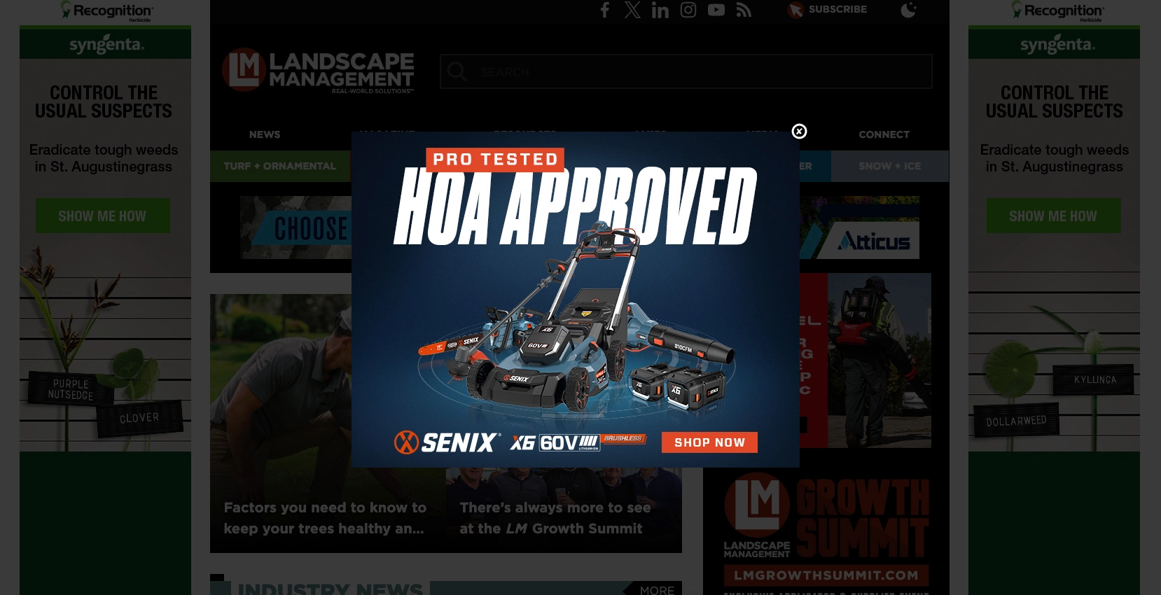 Roadblock ad example