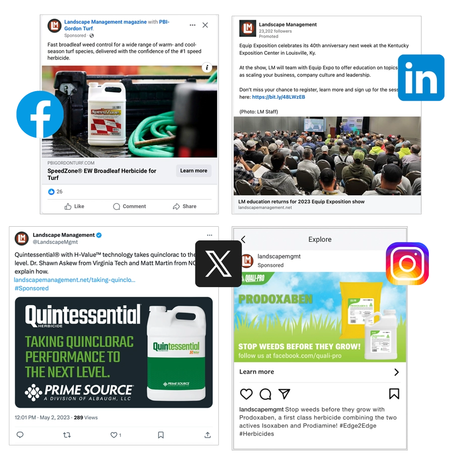 Sponsored social media examples
