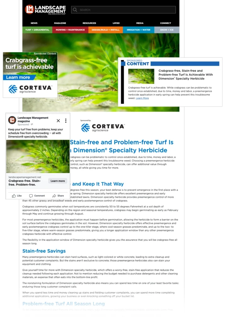 Examples of web sponsored content